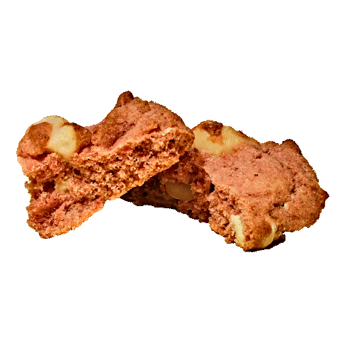 nuldamofficial giphyupload logo brand vegan Sticker