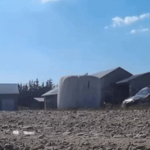 Car Fail GIF by FIA European Rally Championship