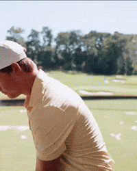 Georgia Tech Golf GIF by Georgia Tech Yellow Jackets