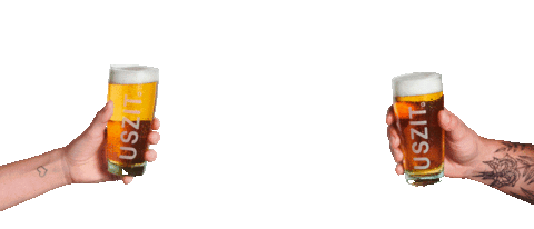 uszit giphyupload drink beer cheers Sticker