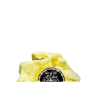 Beauty Love Sticker by Tree of Life Sea Moss