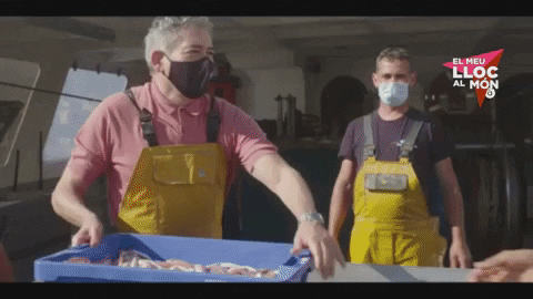 GIF by À Punt Mèdia