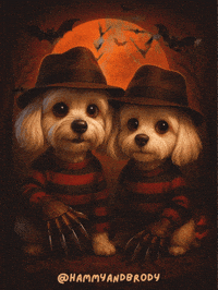 Dog Horror GIF by HammyandBrody