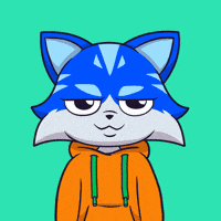 Funny Face Cat GIF by Toshithecat