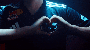 Hong Kong Esports GIF by BLAST