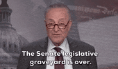 Chuck Schumer Gun Violence GIF by GIPHY News