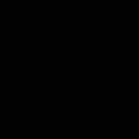 Cat Wow GIF by sillynub