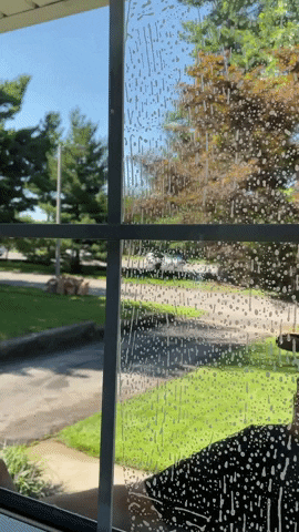 Raytay17 giphyupload GIF