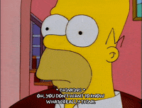 homer simpson GIF