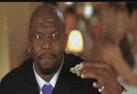 terry GIF