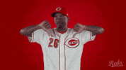 Baseball Mlb GIF by Cincinnati Reds