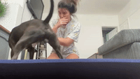 Dog Joins in on Yoga Session