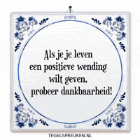 Humor Nl GIF by Tegelspreuken.nl