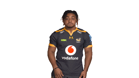 Rugby Sticker by Wasps