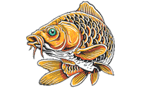 Fly Carp Sticker