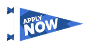 Apply Now Super Bowl Sticker by Indeed