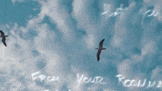 #halsey #closer GIF by Sony Music Colombia
