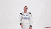 Waving Global Industrial GIF by Richard Childress Racing