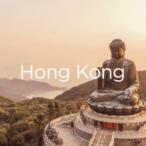 VirginAtlantic holiday asia hong kong virgin GIF