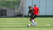 selecao brasileira GIF by Confederação Brasileira de Futebol