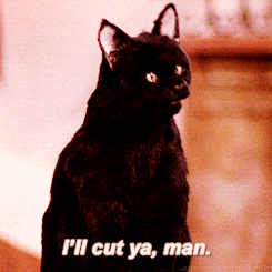 Cat Mean GIF