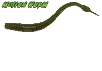 Motion Agr Sticker by AGR Baits