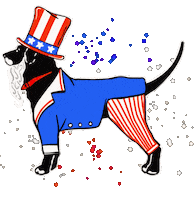 Celebrate United States Sticker by theblackdog