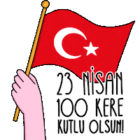 Turkish Flag Turkey Sticker by Idil Keysan