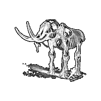 Dyno Send It Sticker by DynoClimbDeland