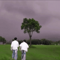 Boylove GIF