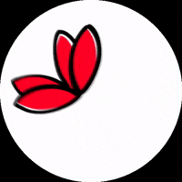 Heart Love GIF by Life By Vivara