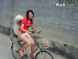 cute bicycle GIF by Cheezburger