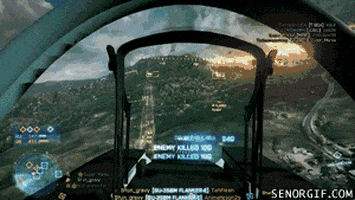 video games plane GIF by Cheezburger
