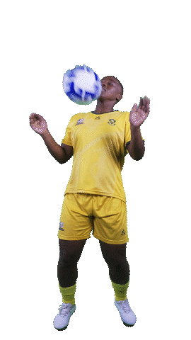 Happy Sport Sticker by Shield South Africa