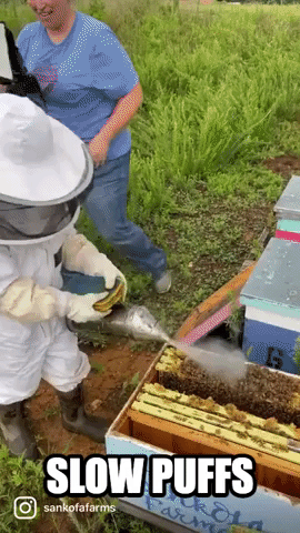 Beekeeper Creates a Buzz at 5 Years Old