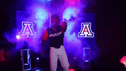 Baseball Hype GIF by NCAA Championships