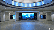 Brand Jordan GIF by Carolina Football