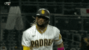 Sport GIF by ESPN