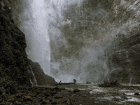 Challenge Yourself Zuhause Bootcamp Trainings Frauen GIF by FranchiseONE.de