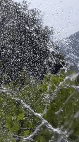 Simongip giphygifmaker GIF