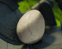 Pedro Pascal Kick GIF by The Wild Robot