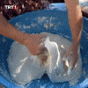 Su Eat GIF by TRT