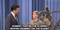 jimmy fallon sloth GIF by The Tonight Show Starring Jimmy Fallon
