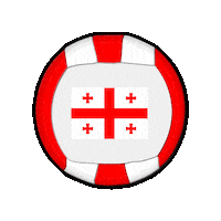 Ball Europe Sticker by Swiss Dodgeball