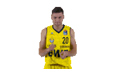 Ewe Baskets Basketball Sticker by EWE Baskets Oldenburg