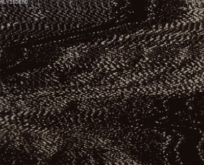 tales from the crypt GIF