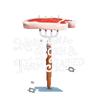 nestatefair farm fair ne nebraska Sticker
