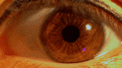 Eye Linda GIF by BIXOproduction