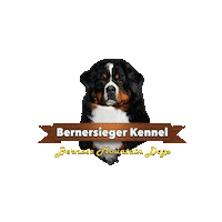 Berner Sticker by Bernersieger Kennel