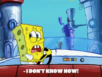 season 8 squidward's school for grown ups GIF by SpongeBob SquarePants